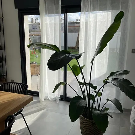 Homestay Grande Chambre Privee 18 M2 Dans Maison Proche Gare Et Nancy Thermal *