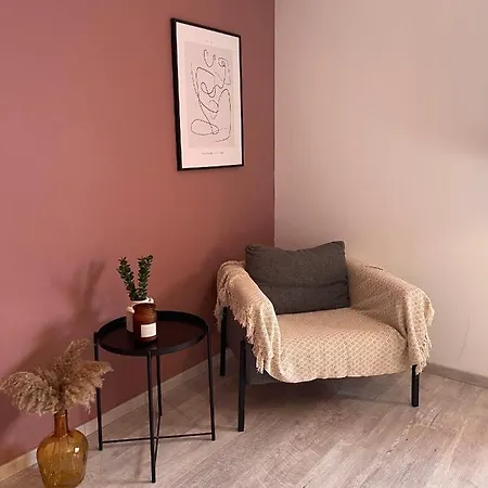 Grande Chambre Privee 18 M2 Dans Maison Proche Gare Et Nancy Thermal Homestay