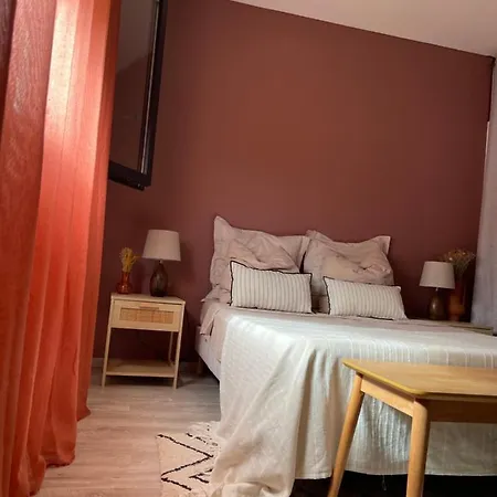 Grande Chambre Privee 18 M2 Dans Maison Proche Gare Et Nancy Thermal Homestay *