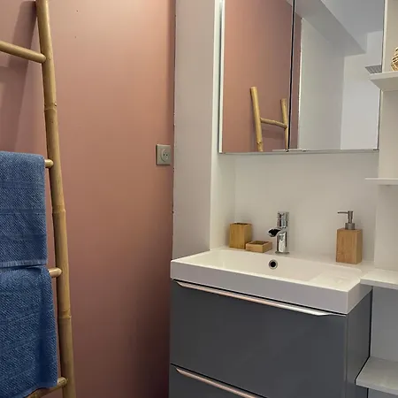 Grande Chambre Privee 18 M2 Dans Maison Proche Gare Et Nancy Thermal Homestay