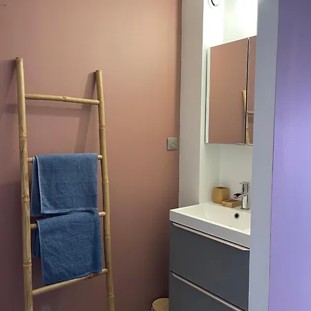 Homestay Grande Chambre Privee 18 M2 Dans Maison Proche Gare Et Nancy Thermal Tomblaine