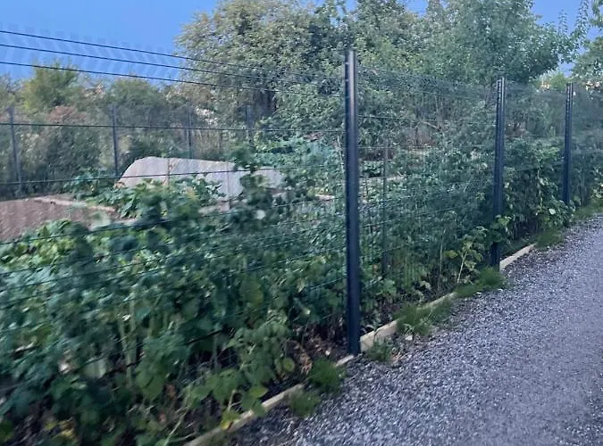 Séjour chez l'habitant Grande Chambre Privee 18 M2 Dans Maison Proche Gare Et Nancy Thermal Tomblaine