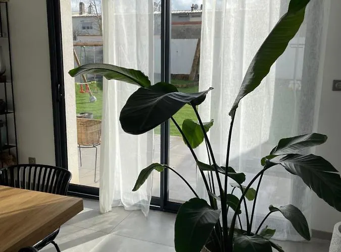 Séjour chez l'habitant Grande Chambre Privee 18 M2 Dans Maison Proche Gare Et Nancy Thermal *