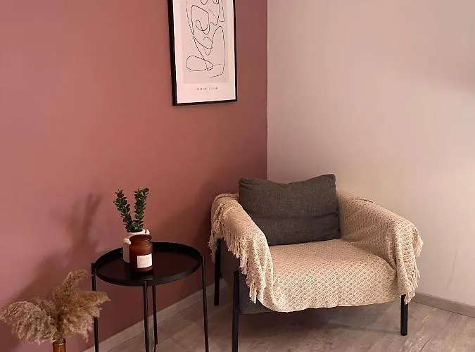 Grande Chambre Privee 18 M2 Dans Maison Proche Gare Et Nancy Thermal Séjour chez l'habitant