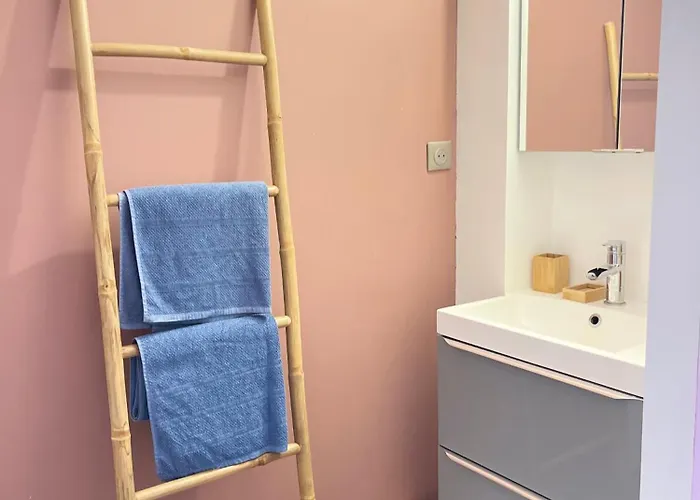Grande Chambre Privee 18 M2 Dans Maison Proche Gare Et Nancy Thermal Séjour chez l'habitant *