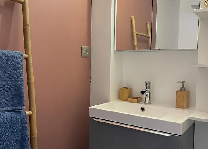 Grande Chambre Privee 18 M2 Dans Maison Proche Gare Et Nancy Thermal Séjour chez l'habitant