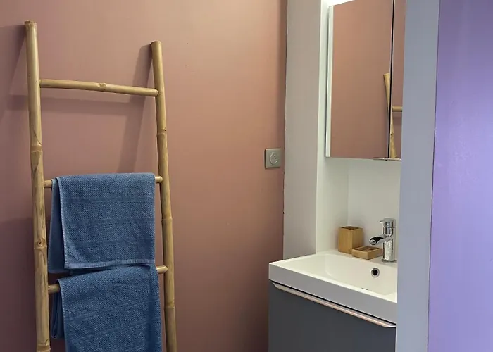 Séjour chez l'habitant Grande Chambre Privee 18 M2 Dans Maison Proche Gare Et Nancy Thermal Tomblaine